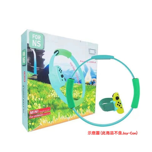 【御玩家】NS Switch 健身環大冒險 遊戲組合 健身環 健身 運動 (送原廠束口袋) 現貨 2